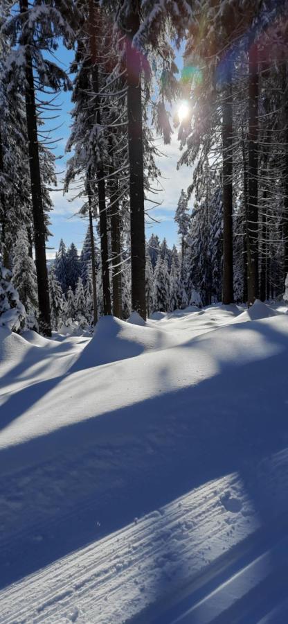 Apartament Gorski Widok Szklarska Poręba Exteriör bild